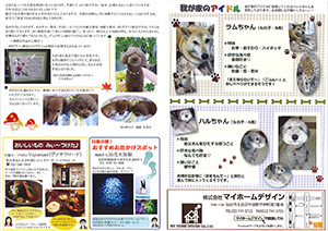 2014年10月裏