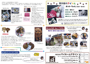2014年11月裏