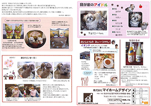 2015年2月裏