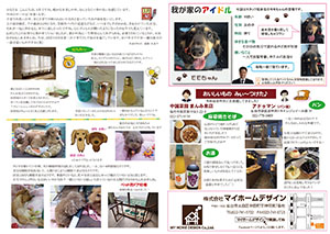 2015年3月裏